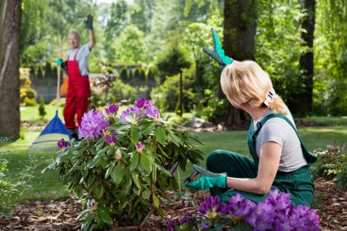 Team inspecting a garden for compliance