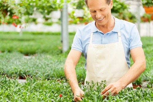 Gardener pruning a small front garden in Plaistow