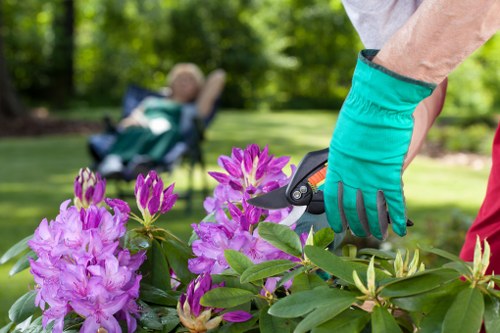 Local garden clearance team at work