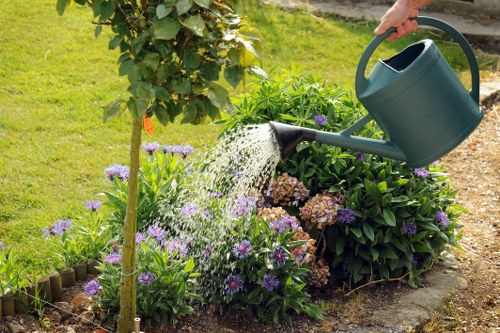 A person watering a flower bed in a garden during daylight, using a green watering can to pour water onto purple and brown flowering plants with lush green foliage. The garden features a neatly maintained lawn with vibrant green grass, bordered by a small wooden edge and a compacted soil pathway. In the background, there are leafy shrubs, small trees, and additional garden beds, all set under natural daylight with clear weather. The scene reflects outdoor maintenance typical of residential gardens in Plaistow, illustrating attention to plant care and garden landscaping, which Gardening Services Plaistow may assist with in local outdoor spaces.