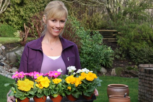 Beautifully maintained garden in Plaistow
