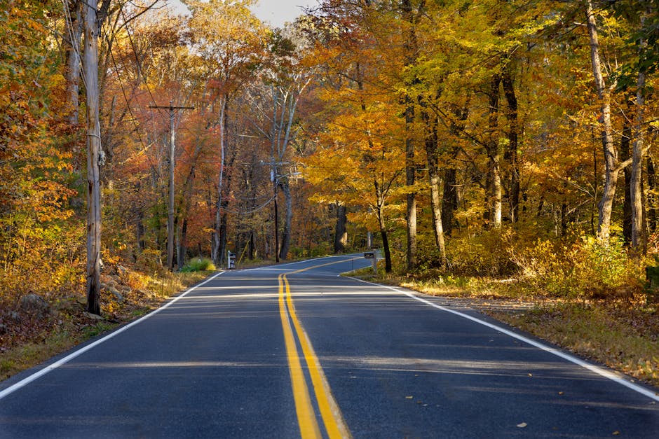 A winding two-lane road with freshly painted double yellow lines runs through a dense forest in autumn. The trees on either side display vibrant fall foliage in shades of orange, yellow, and red, with